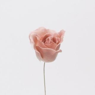 KN-polca - アートフラワー・トールペイントの kukkula クックラ