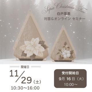 トールペイント  はなまみ Amazon.co.jp: Momotale MJDブラインドドール シリーズ 高約24cm
