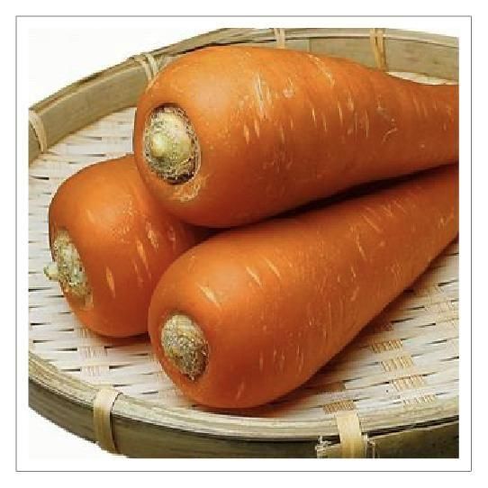 恋うさぎ(人参） - あさねぼう商店