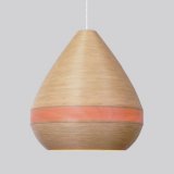 Pendant lamp ʬƩ̤褦֤ͤ˱Ǥ֥ʥΥڥȥס֥ʺμο礤ȡ֥ʥͭΥեब̥ϤǤ