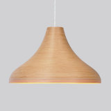 Pendant lamp ֥ʥꥸʥǥΥڥȥפǤ֥ʺμο礤ȥ֥ʥͭΥեब̥ϤǤ