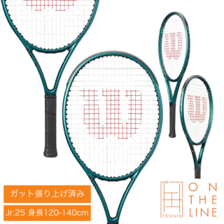 Wilson 륽 ƥ˥饱å ˥ ֥쥤 25 V9.0 / BLADE 25 V9.0WR151610S*Υ饱åȤϥåĥ夲ѤȤʤޤ