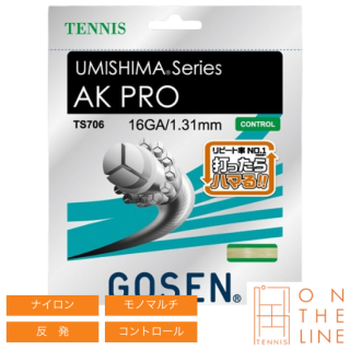 GOSEN  ƥ˥å  ץ 16 / AK PRO 16 (TS706)  (1.22mm) 