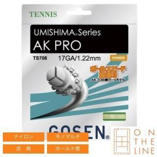 GOSEN �������� �ƥ˥����å� �������� �ץ� 17 / AK PRO 17 (TS708)  ��1.22mm�ˡ�12.2m��