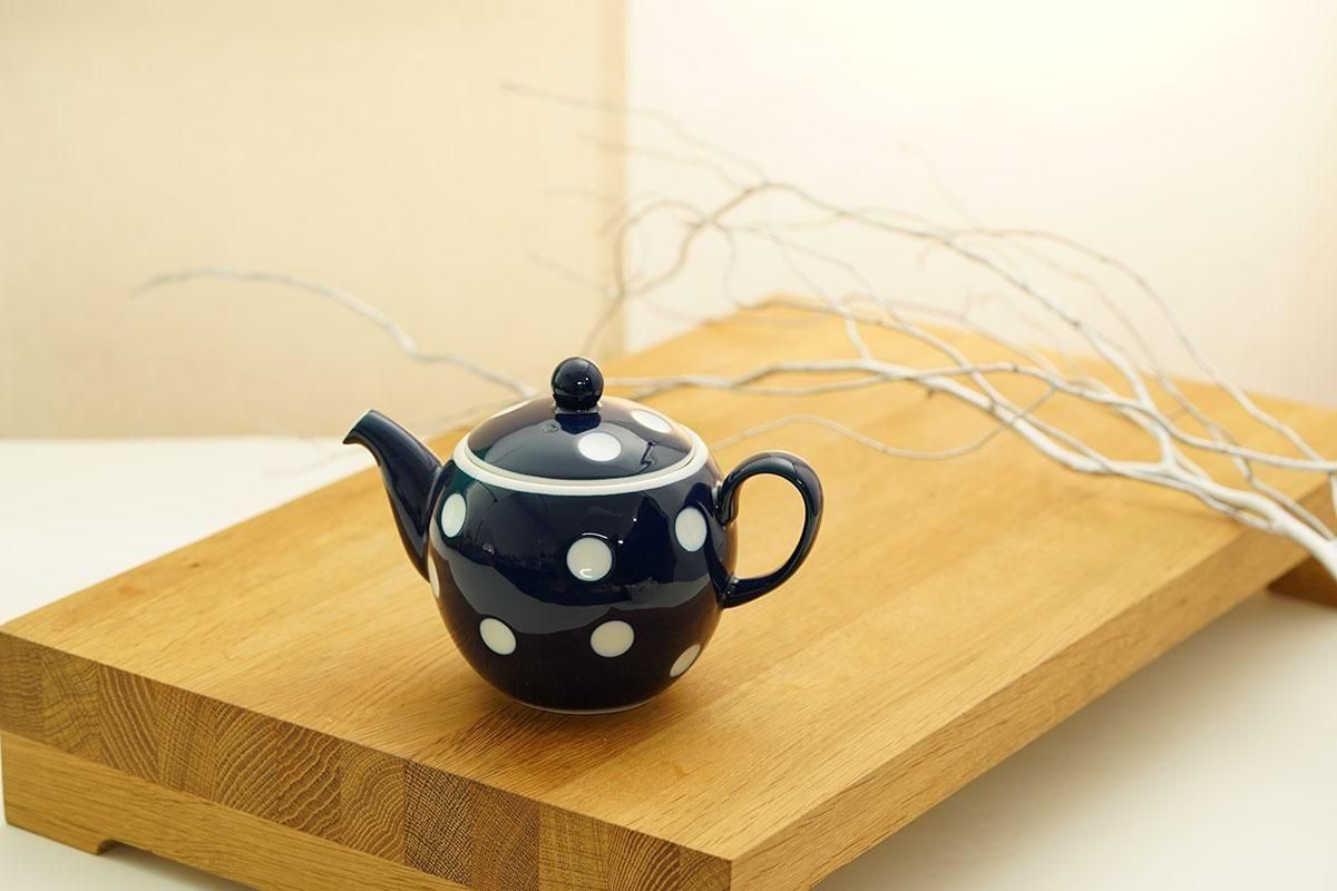 ľ negaposi ݥå nega