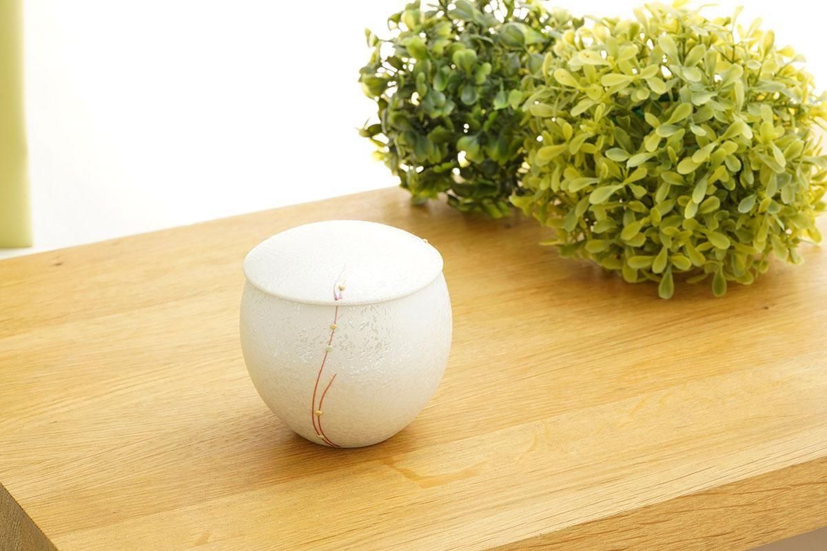 ԥ󥯿̥饹Ŵȭʪʿȡ