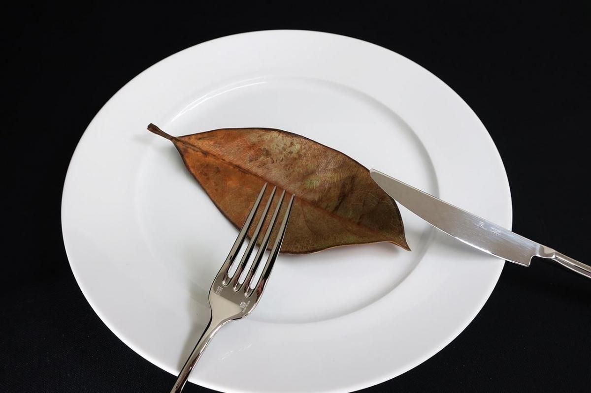 EVERGRACEHestia27cmץ졼