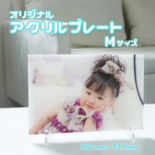ץ졼<p>M</p>
