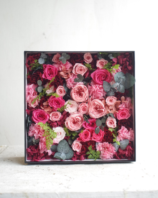 �ե�BOX�ڥԥ󥯡ۣ̥�����