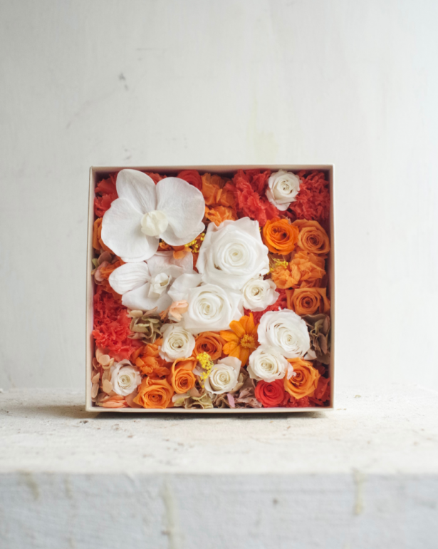 �ե�BOX�ڥ����✖��ĳ����M������