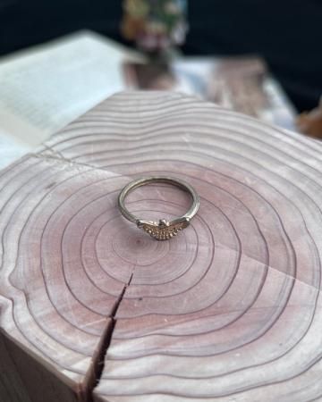 French Raptores ring (9-10)