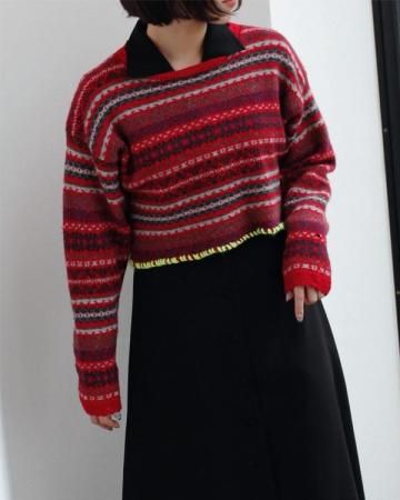 SheEPs Remake / embroidery cropped sweater