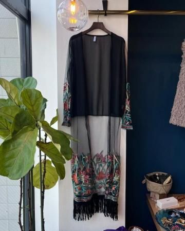 Sheer embroidery gown