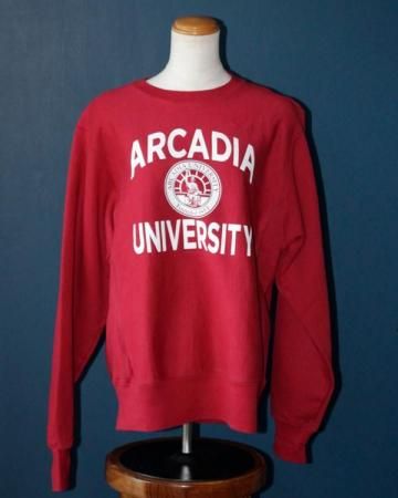 90s ARCADIA champion sweatshirt