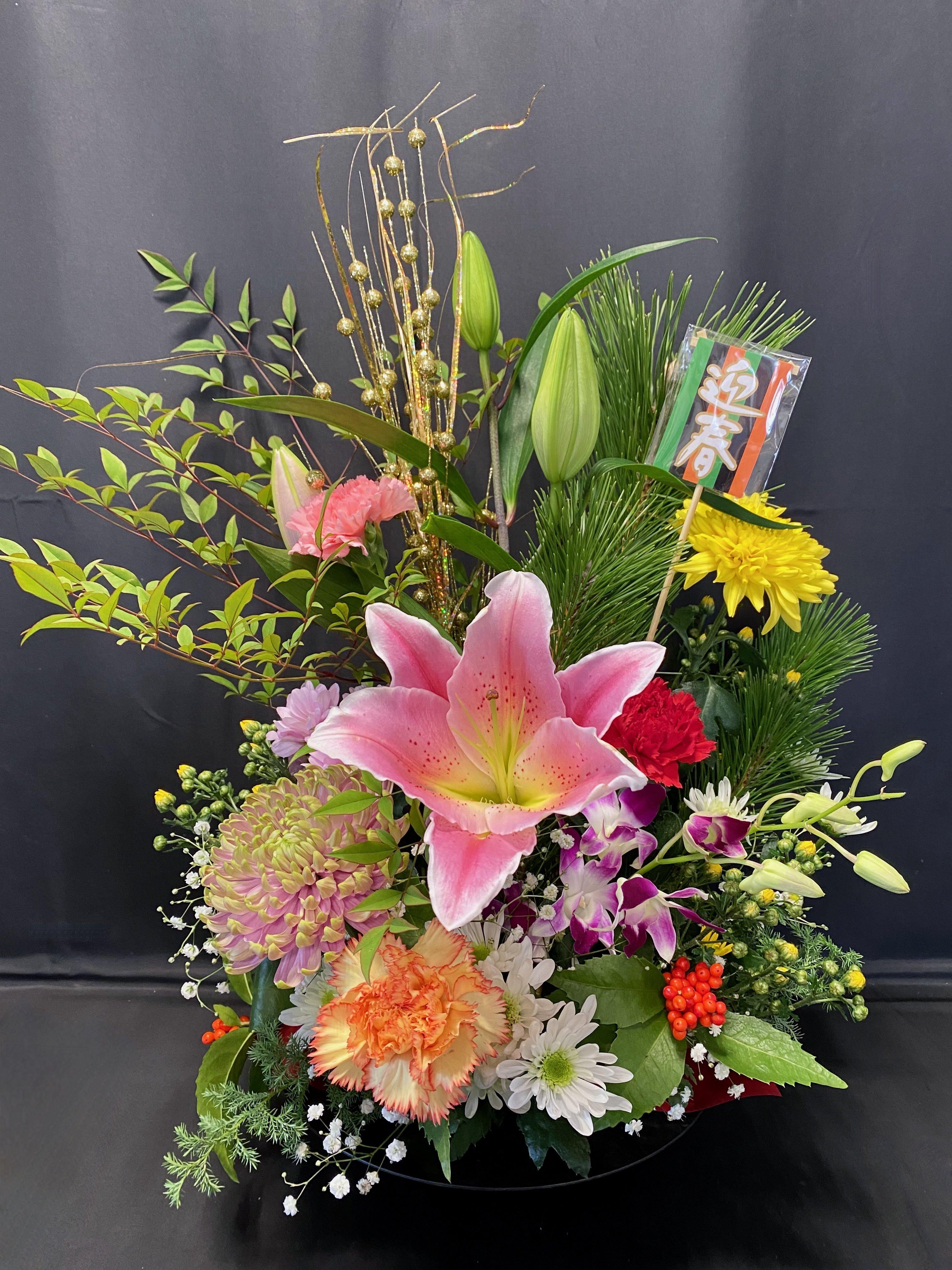 <img class='new_mark_img1' src='https://img.shop-pro.jp/img/new/icons15.gif' style='border:none;display:inline;margin:0px;padding:0px;width:auto;' />N02ѥɥ󥸥M