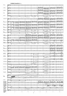 ڥ󥿥۸֥ե⥵סʿס