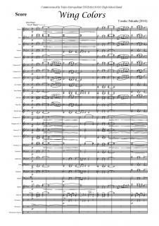 ڥ󥿥Wing Colorsʡβ