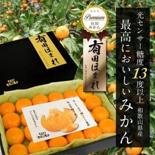 ̣ݾڡ <br>13ٰʾ ͭĤۤޤ  24 /²λͭĤߤ/ ߤ