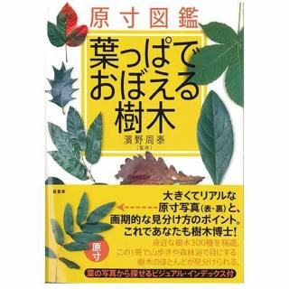 園芸・ガーデニング用品、図鑑書籍、動画教材 - 日本カタログ