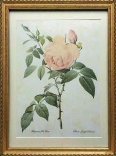 ボタニカルアート　絵画　YAN ROSE 蝶 フラワー ボタニカルアート 絵画 YAN ROSE 蝶 フラワー