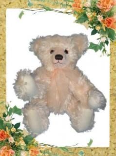 ƥǥ٥ TP-1016  η ƱDVDץ쥼ȡ ̤߷ ޷ դ ޷ ѥ ̤߻ࡡ̤ߺ Teddy Bear