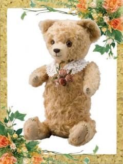 ƥǥ٥ TP-074 η ƱDVDץ쥼ȡ ̤߷ ޷ դ ޷ ѥ Teddy Bear