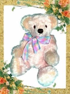 ƥǥ٥ TP-007 η ƱDVDץ쥼ȡ ̤߷ ޷ դ ޷ ѥ Teddy Bear