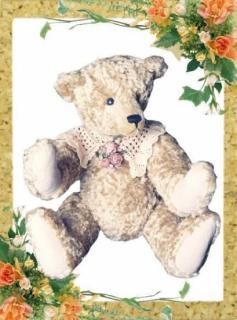 ƥǥ٥ TP-067 η ƱDVDץ쥼ȡ ̤߷ ޷ դ ޷ ѥ Teddy Bear