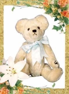 ƥǥ٥ TP-027η ƱDVDץ쥼ȡ ̤߷ ޷ դ ޷ ѥ Teddy Bear