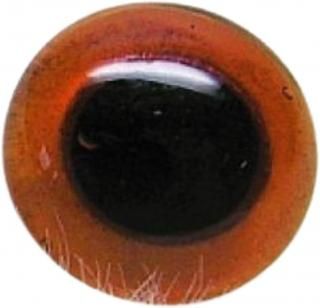 饹 С 11mm  ڥ ̤ߥ ̤߻ ̤ߺ