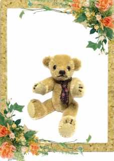 ߥ˥奢 ƥǥ٥ TP-1019  η ƱDVDץ쥼ȡ ̤߷ ޷ դ ѥ ̤߻ࡡ̤ߺ Teddy Bear