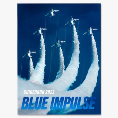 航空路　図誌　低度用　①　平成31年 3月号 美品　航空自衛隊　レア！ 航空路 図誌 低度用 ① 平成31年 3月号 美品 航空自衛隊 レア