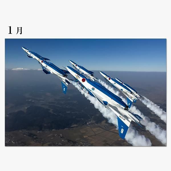 Ҷե ֥롼ѥ륹 ɳݤ 2026ǯ ̲03