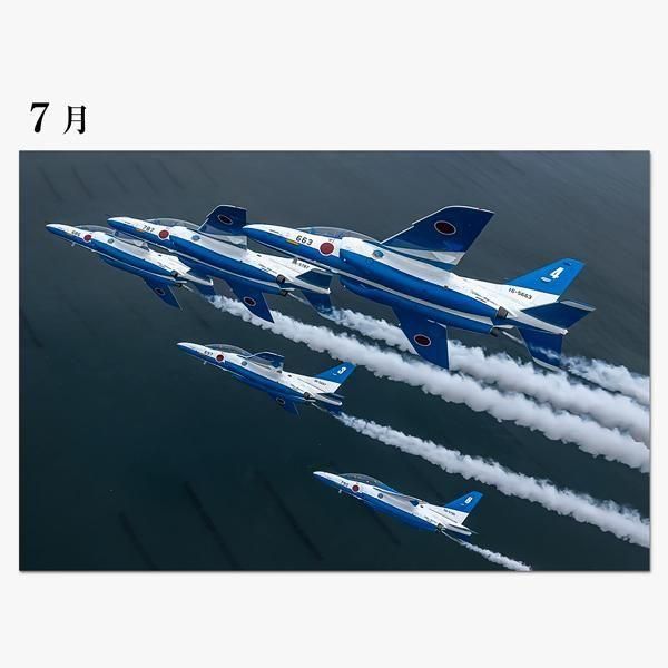 Ҷե ֥롼ѥ륹 ɳݤ 2026ǯ ̲09