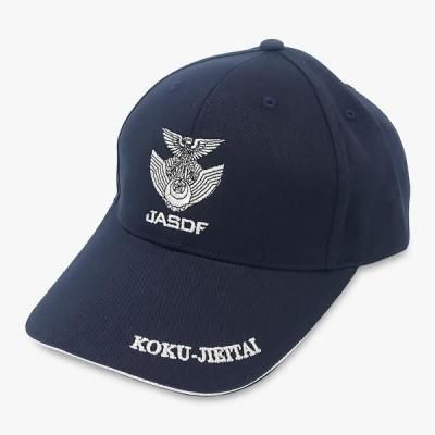 Ҷ JASDF˹