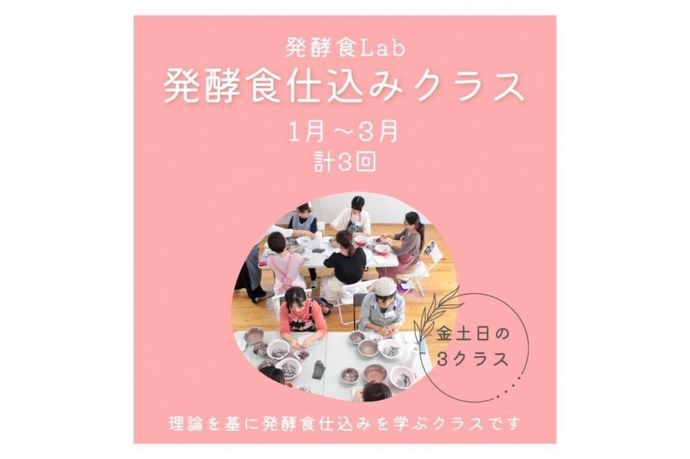 117()2000罸ϡȯڿLabȯڻŹ߶13/3