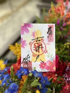 <img class='new_mark_img1' src='https://img.shop-pro.jp/img/new/icons1.gif' style='border:none;display:inline;margin:0px;padding:0px;width:auto;' /≯2025ʥ⥹Ⱦŷ