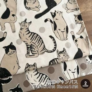 ǭ  Bigǭ 㥭Х åȥͥ 50cmñ Ѳ  ͥ ͤ åȥ󤳤Ф䤷 ̥Υ ۹ Bigǭ50cm
