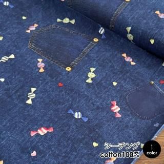  ֥ۡǥ˥ϡȡ RiCONIC Design  50cmñ åȥ100 ǥץ Ѳ ǥ˥ ǥ ϡ ǥ˥ϡ50cm