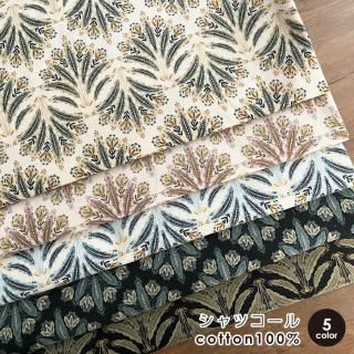  ǥ ơǥΥĥ ŷ 50cmñ Ѳ 100   ۾ʪ     ơǥ󥷥ĥ50cm