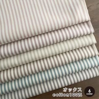   ֥åȥ饤 å åȥ100% 50cmñ Ѳ ϥɥᥤ     /֥å50cm
