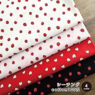     50cmñ åȥ100 ؽ Ѳ 襤  ޯ ̥Υ 50cm