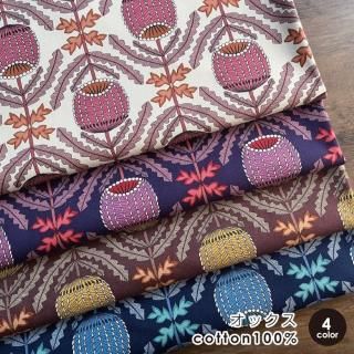    Υե 100%å 50cmñ  Ѳ ϥɥᥤ  ȥ /Υե50cm