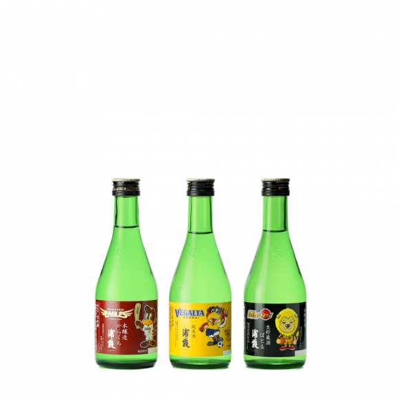  ץݡı祻å 300ml3ܥå