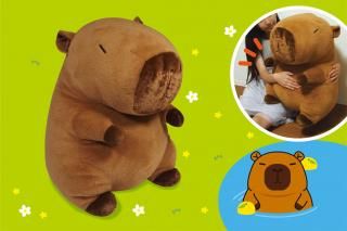 ɤäꤪꥫԥХ餵60cm