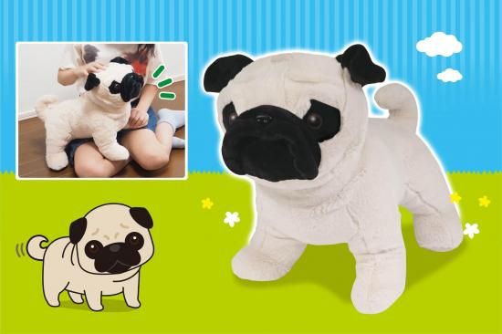 パグ 188030589.jpg?cmsp_timestamp=