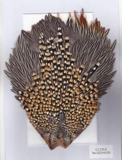 マテリアル - フィッシングショップ レインボー