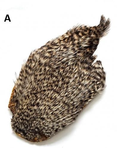 ǥ åͥå ꥺ꡼Angle
