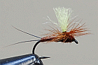 磻 ѥ Brown