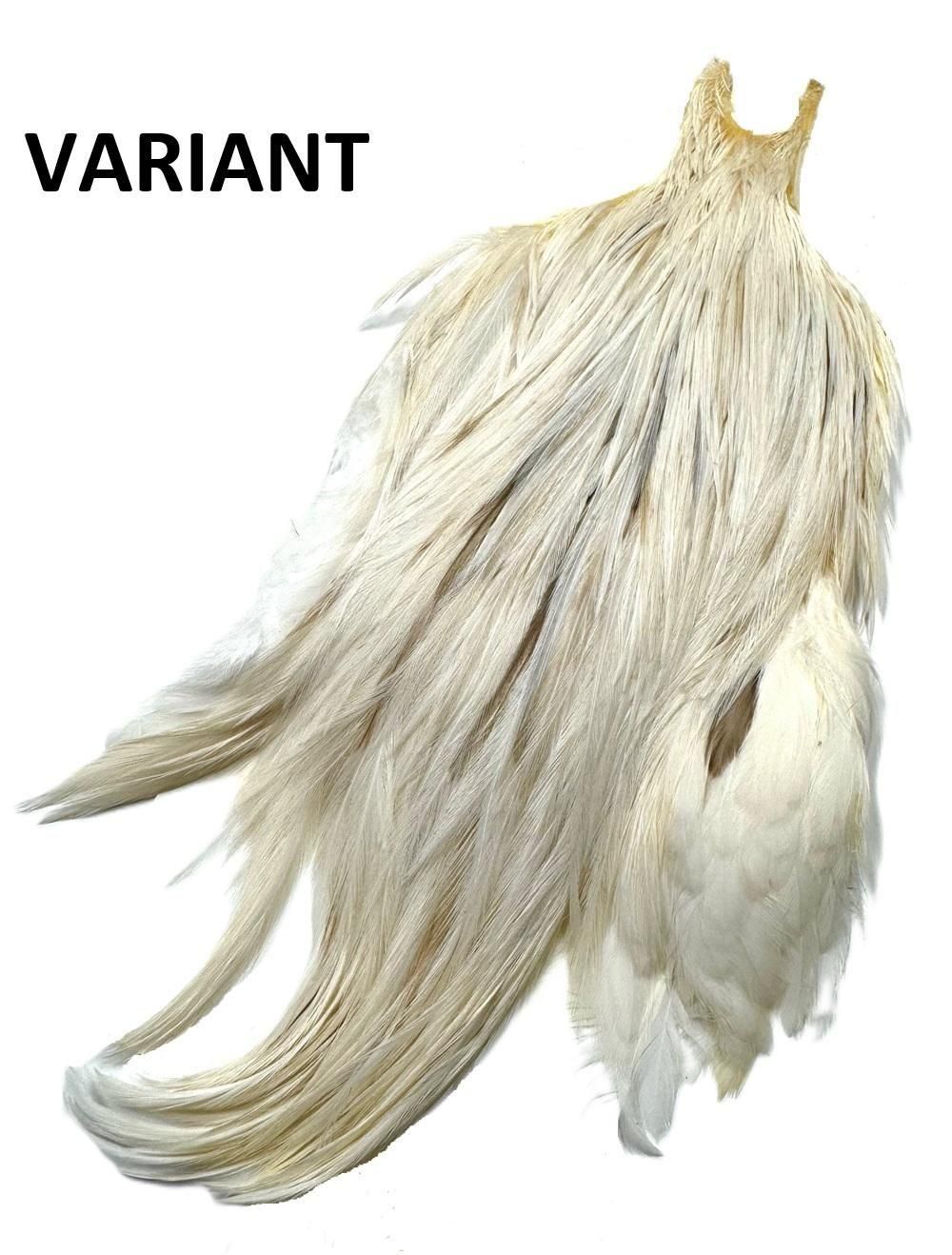 メッツ　未使用　グリズリー 　♯1　ハックル メッツ 未使用 グリズリー ♯1 ハックル